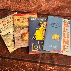 📚 Short Chapter Book Bundle (4)